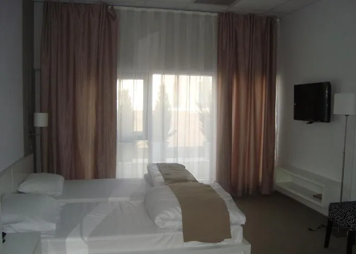 International Skopje